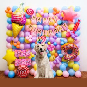 Candy Land Pet Birthday Decor