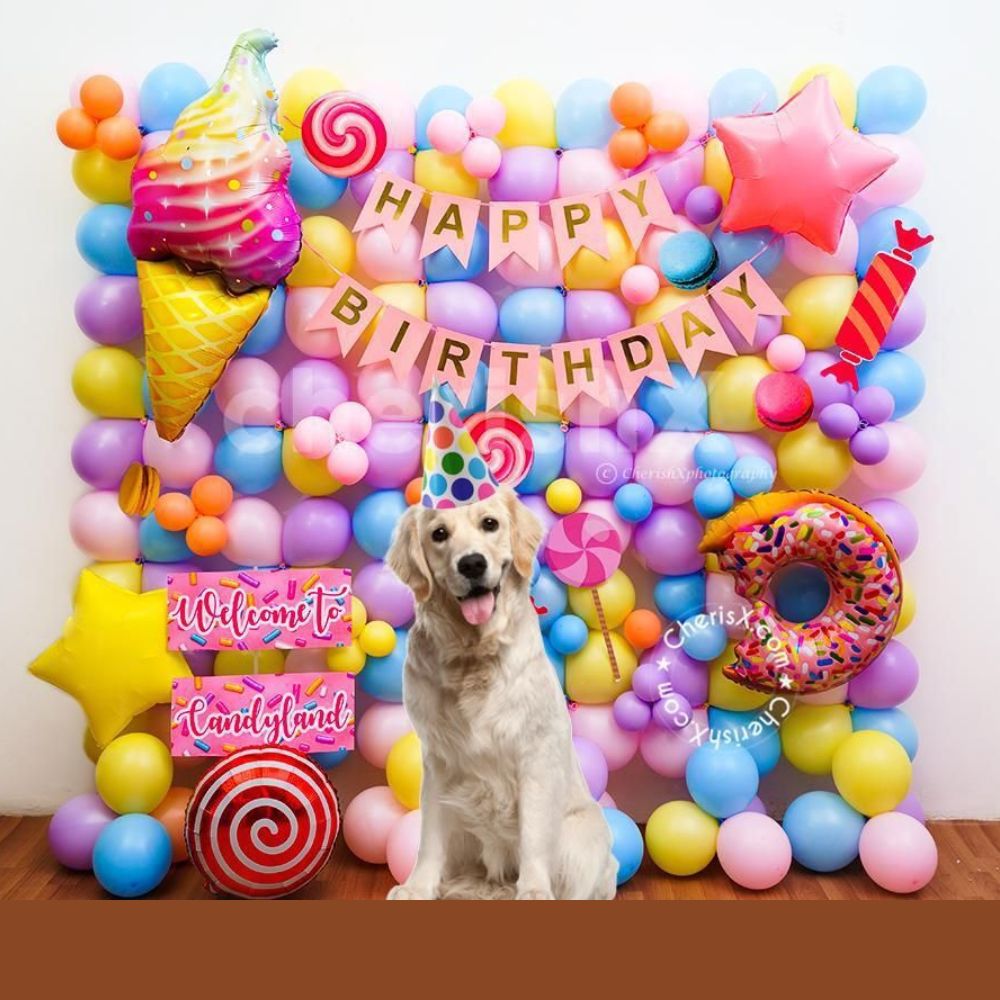 Candy Land Pet Birthday Decor