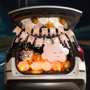 Dreamy Cloud Car Decor